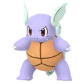 Wartortle
                      
                       Shiny Image