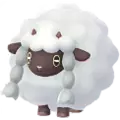 Wolly (Wooloo)
                      
                       Image