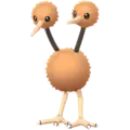 Dodu (Doduo)
                      
                       Image