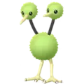 Doduo
                      
                       Shiny Image