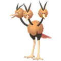 Dodri (Dodrio)
                      
                       Image