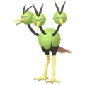 Dodri (Dodrio)
                      
                       Shiny Image