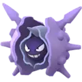 Austos (Cloyster)
                      
                       Image