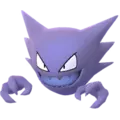 Haunter
                      
                       Shiny Image