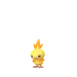 Torchic Pokémon GO In-game Shiny Sprite