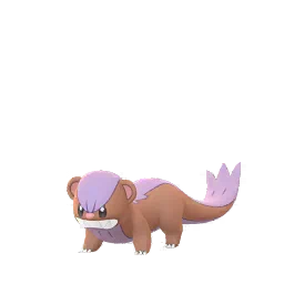 Yungoos Pokémon GO In-game Shiny Sprite